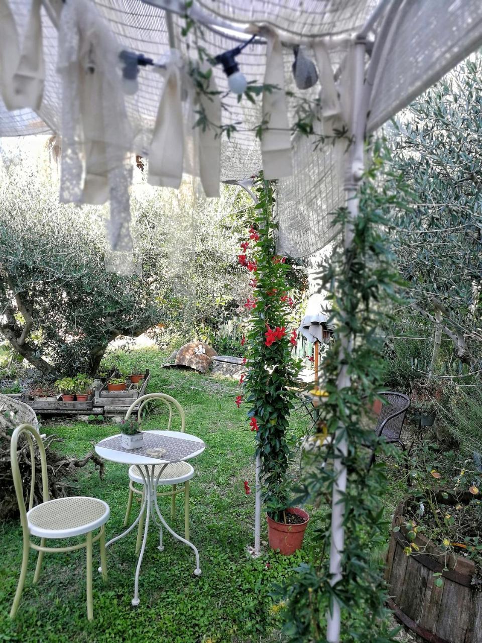 Il Giardino Dei Frati Bed and Breakfast Roncofreddo Buitenkant foto